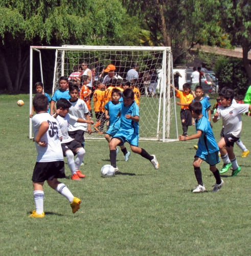 566e94ec3952e_20151214_2_07.jpg