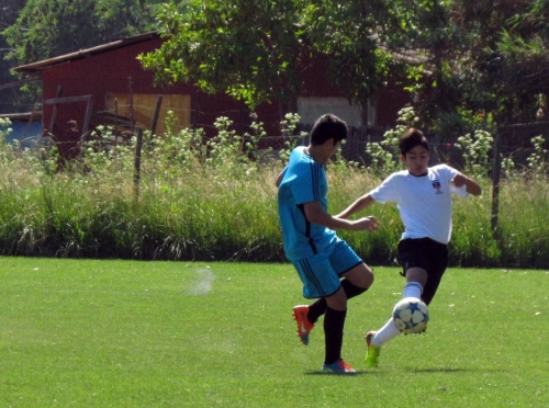 566e95d437206_20151214_2_11.jpg