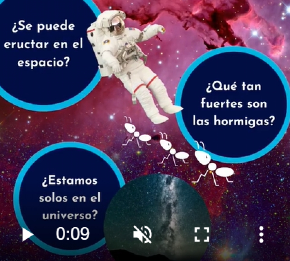 618726009e5b4_image_Gale_20211106_18_04.png